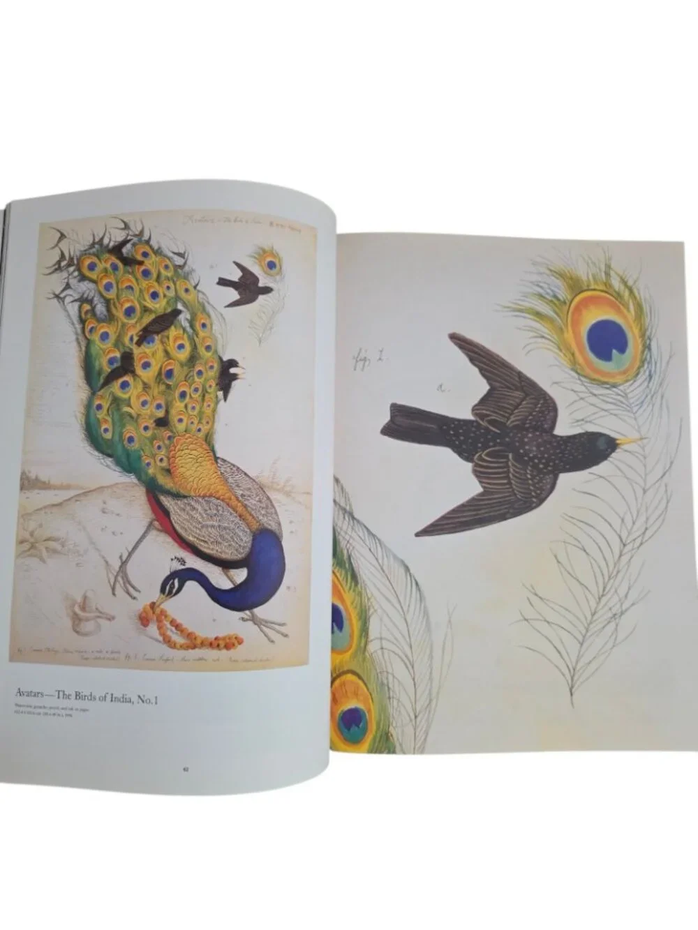 Walton Ford Pancha Tantra by Bill Buford 2009 Hardcover Art Monograph Book